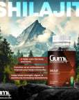 shilajit benefits
