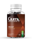 Shilajit Gummies