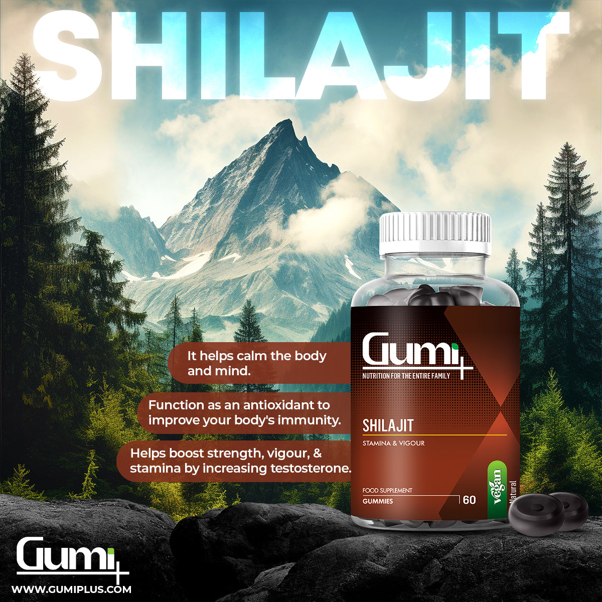 shilajit benefits