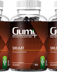 Shilajit Gummies