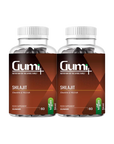 Shilajit Gummies